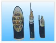 聚氯乙烯絕緣及護套控制電纜